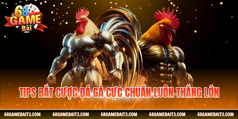 Tips bắt cược đá gà cực chuẩn luôn thắng lớn