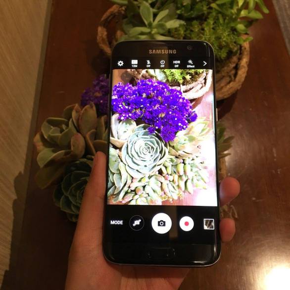 12779114_10153920899152311_6116515343691527113_o