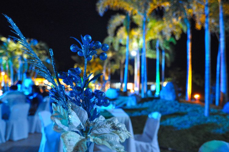 the-farm-carpenter-hill-pool-2521