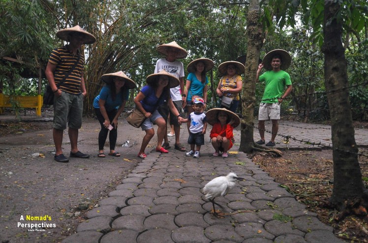 50c5e-baras2bbird2bsanctuary2brey2bmalana-7640b