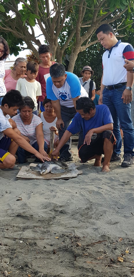 60867778_345437683037622_3808246853099585536_n