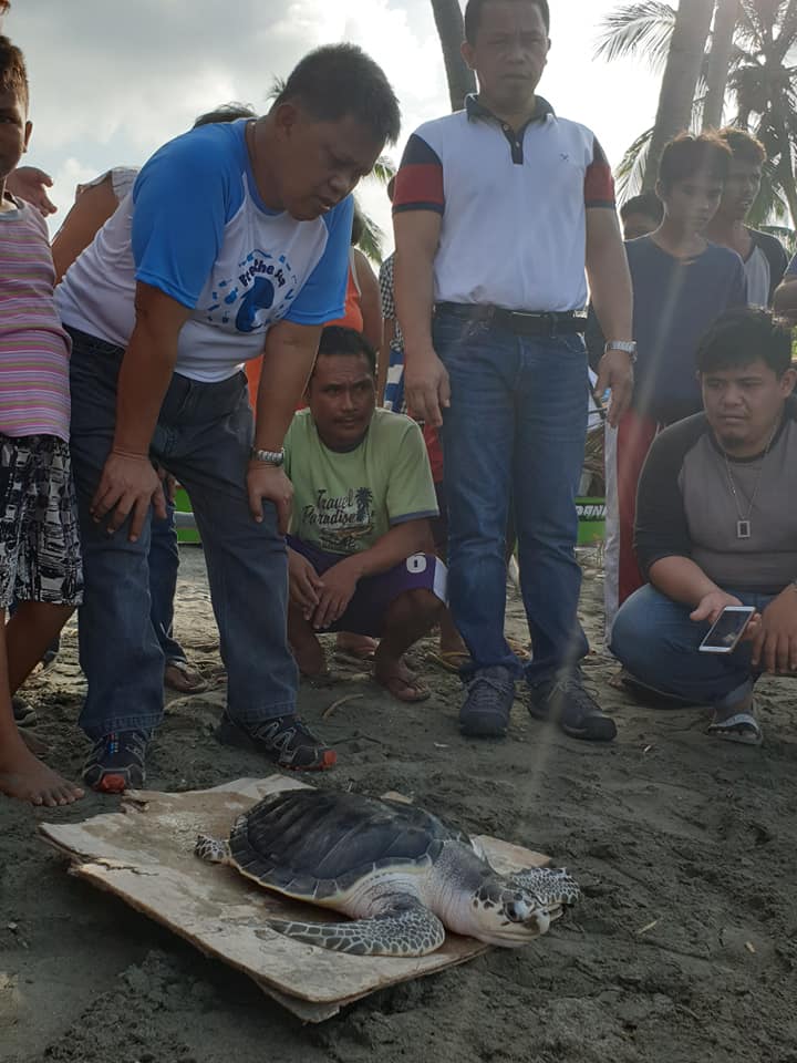 61014972_10218681382286875_8732224500579434496_n